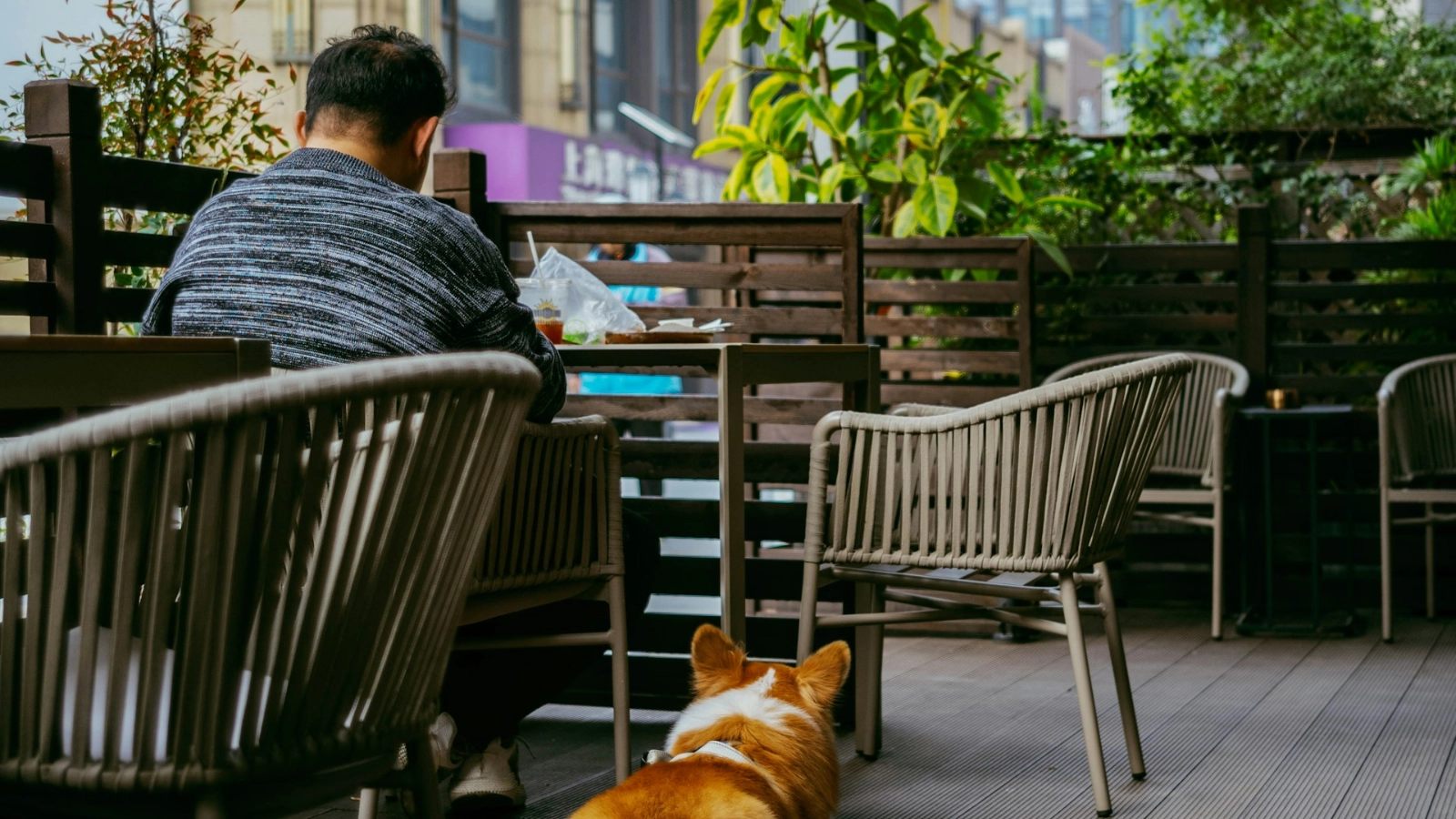 Pet-friendly restoran sa psom